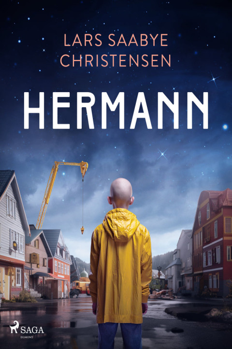 Omslag: Hermann