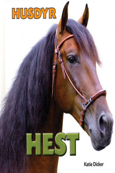 Omslag: Hest