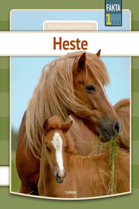 Omslag: Heste