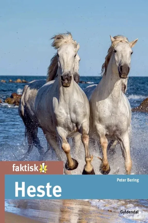 Omslag: Heste