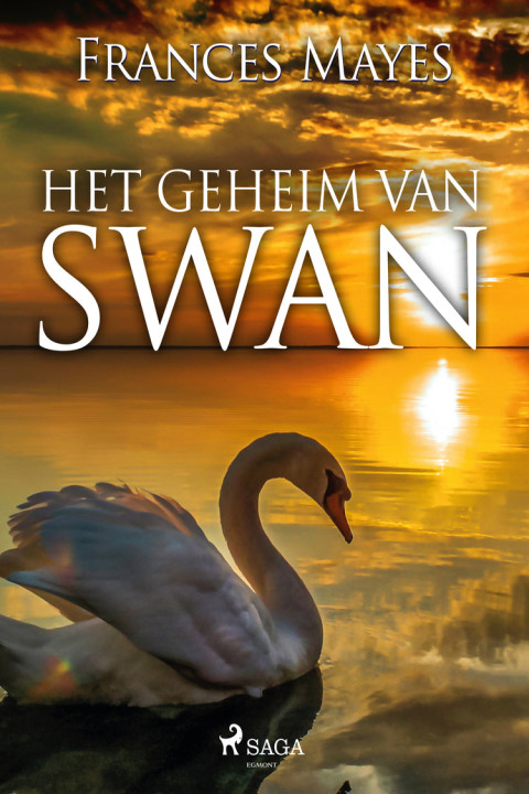 Omslag: Het geheim van Swan