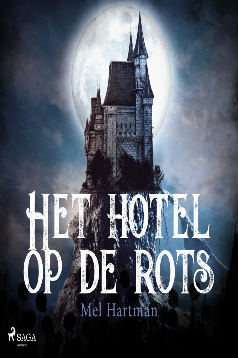 Omslag: Het hotel op de rots