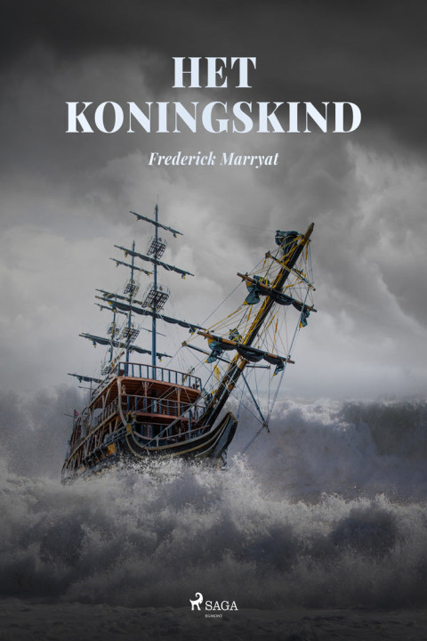 Omslag: Het koningskind