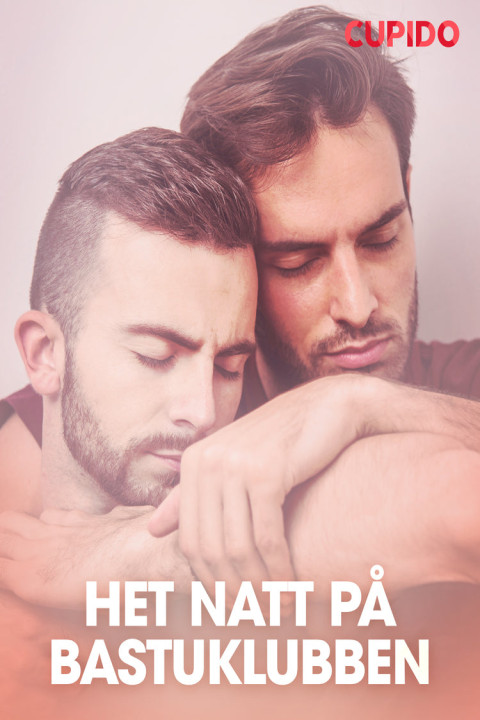 Omslag: Het natt på bastuklubben