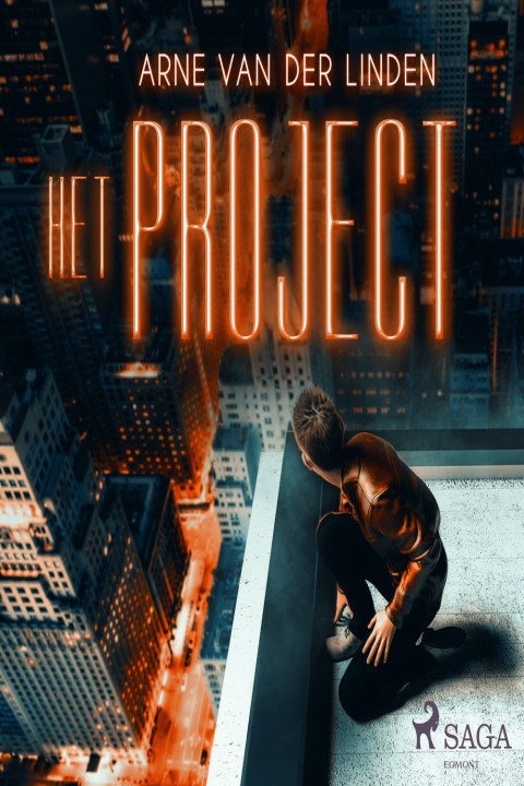 Omslag: Het project