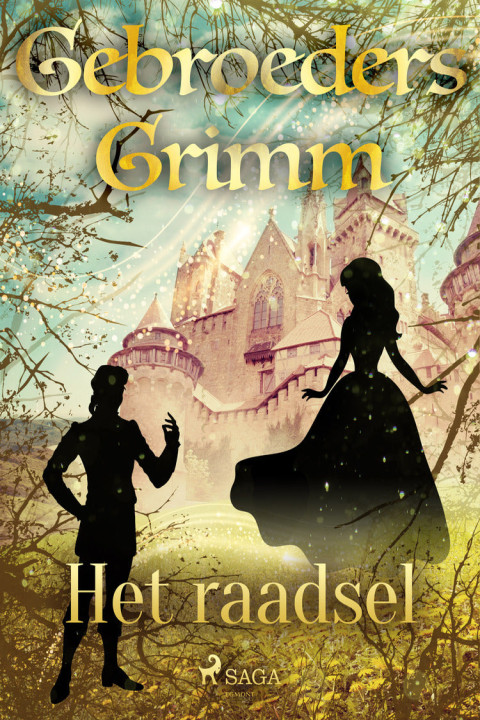 Omslag: Het raadsel