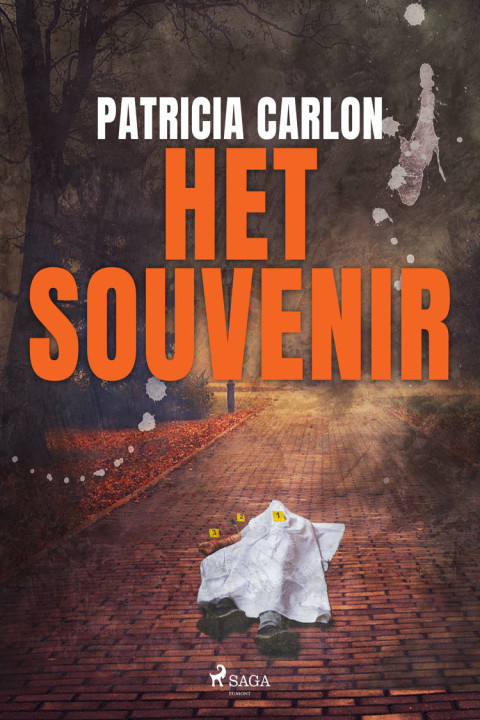 Omslag: Het souvenir
