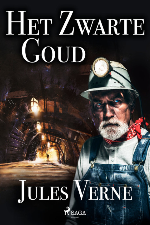 Omslag: Het Zwarte Goud