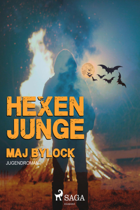 Omslag: Hexenjunge