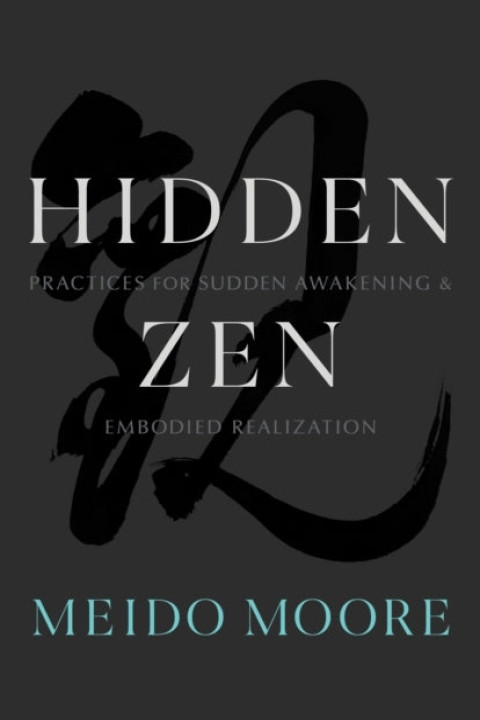 Omslag: Hidden Zen