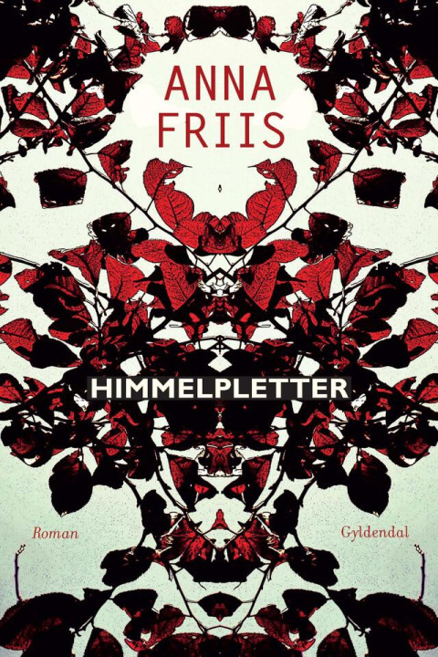 Omslag: Himmelpletter