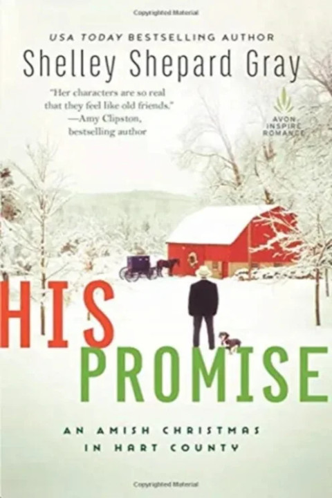 Omslag: His Promise