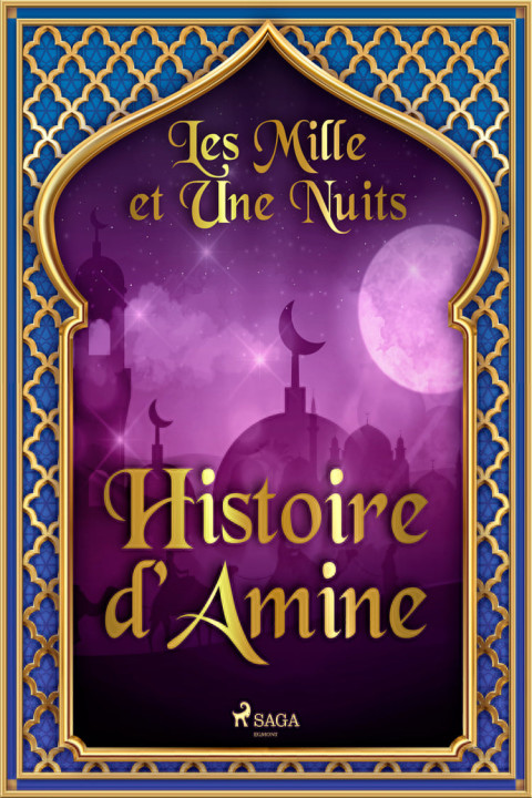 Omslag: Histoire dâ Amine