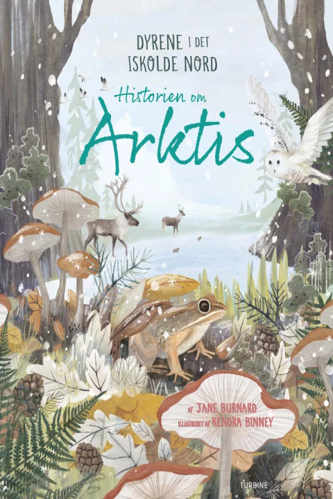 Omslag: Historien om Arktis