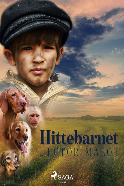 Omslag: Hittebarnet