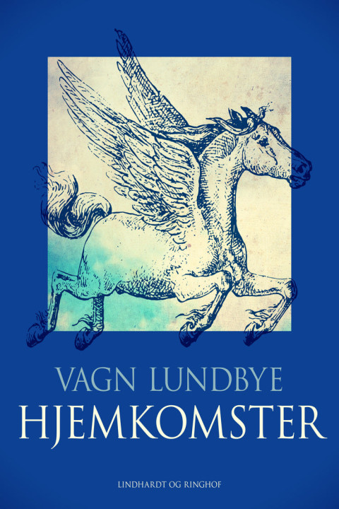 Omslag: Hjemkomster