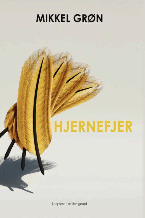 Omslag: HJERNEFJER
