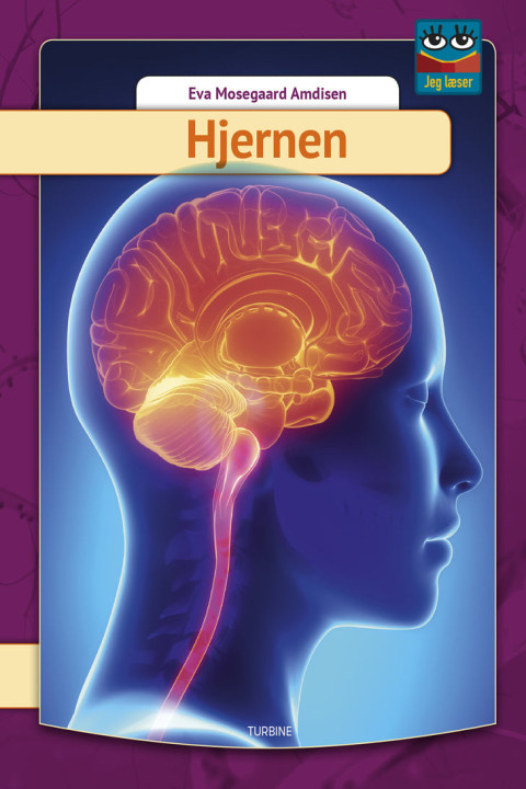 Omslag: Hjernen