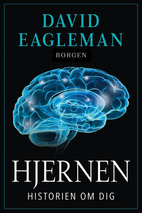 Omslag: Hjernen - Historien om dig