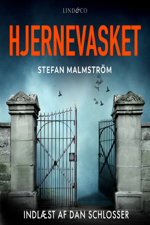 Omslag: Hjernevasket