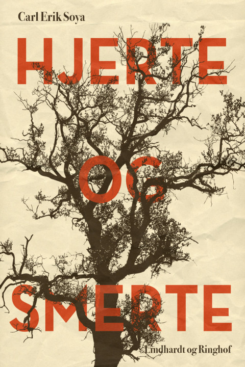 Omslag: Hjerte og smerte