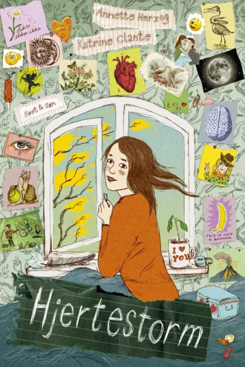 Omslag: Hjertestorm