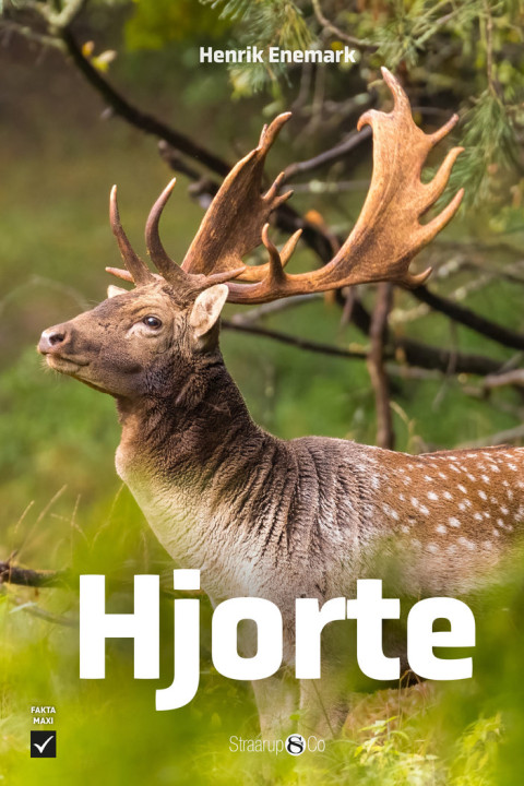 Omslag: Hjorte