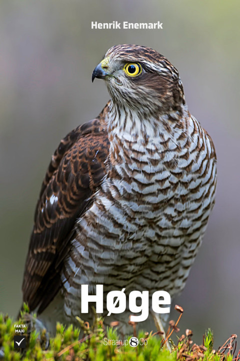 Omslag: Høge