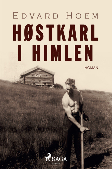 Omslag: Høstkarl i himlen