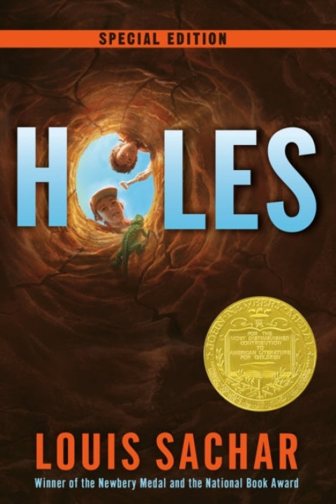 Omslag: Holes