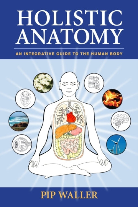 Omslag: Holistic Anatomy