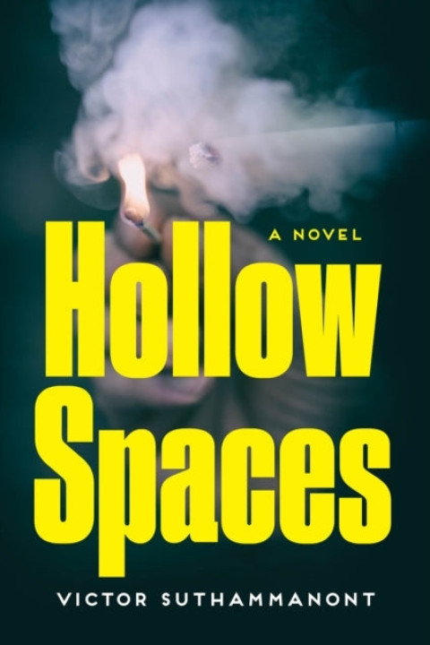 Omslag: Hollow Spaces