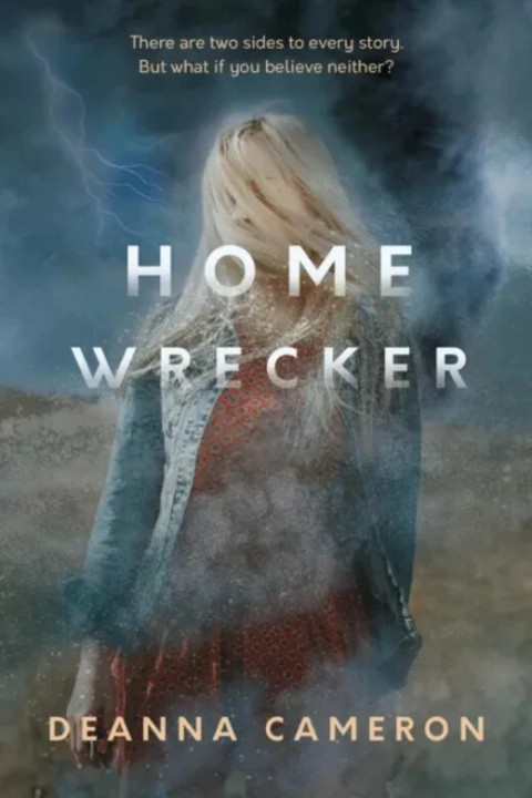 Omslag: Homewrecker