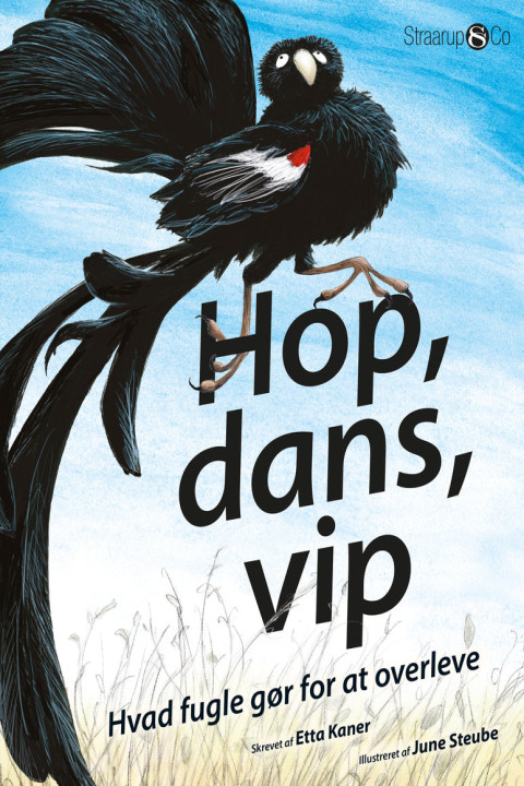 Omslag: Hop, dans, vip