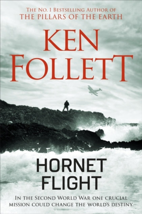 Omslag: Hornet Flight