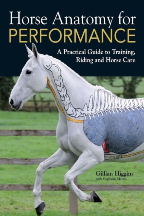 Omslag: Horse Anatomy for Performance