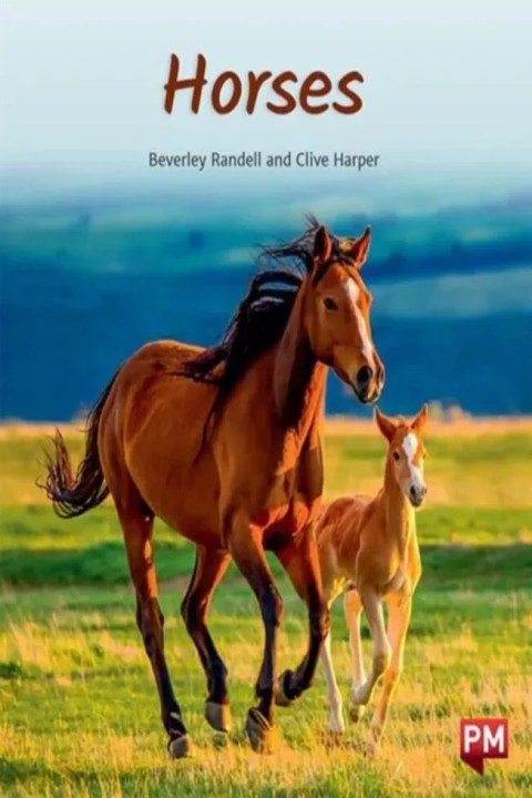 Omslag: HORSES