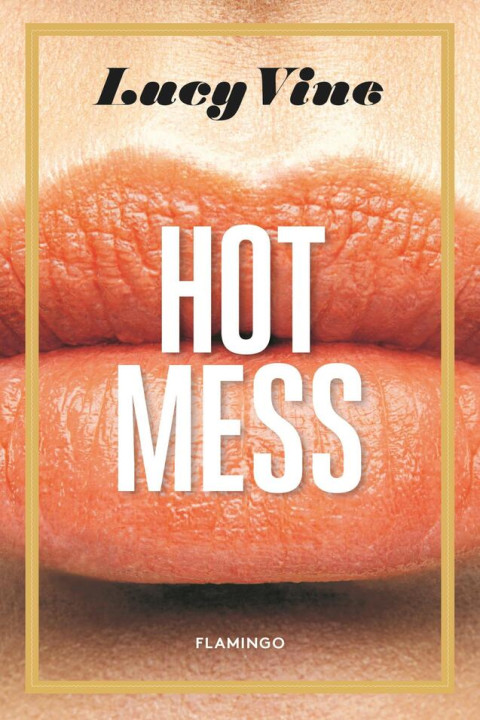 Omslag: Hot Mess