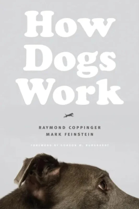 Omslag: How Dogs Work