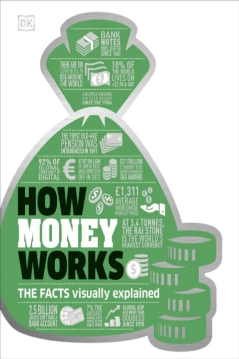 Omslag: How Money Works - The Facts Visually Explained
