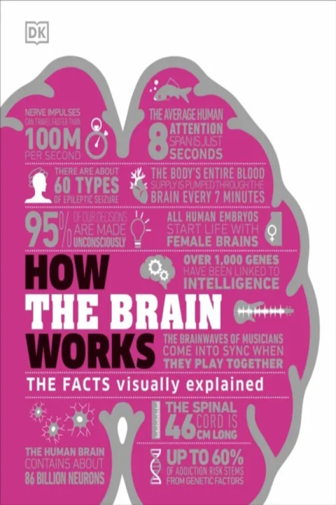 Omslag: How the Brain Works - The Facts Visually Explained