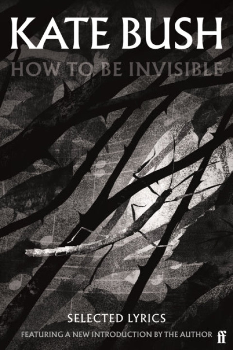 Omslag: How to Be Invisible