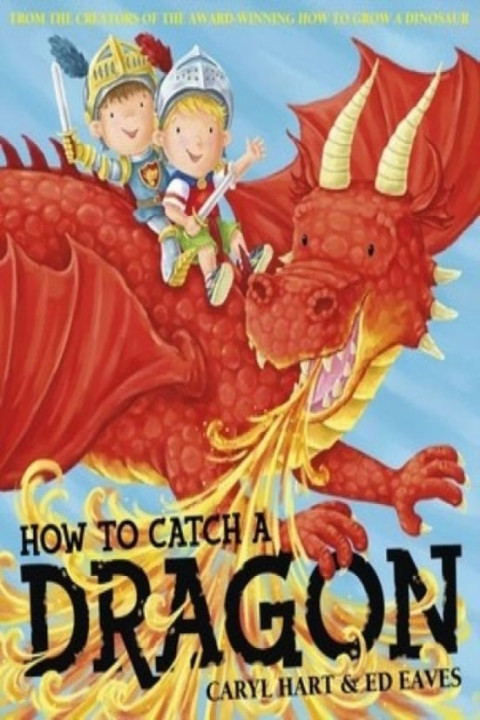 Omslag: How to Catch a Dragon