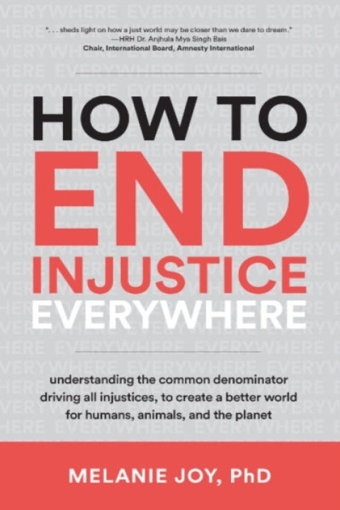 Omslag: How to End Injustice Everywhere