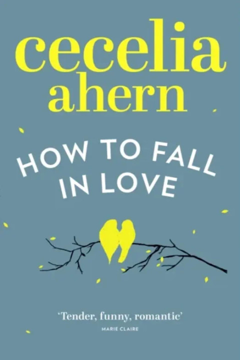 Omslag: HOW TO FALL IN LOVE PB