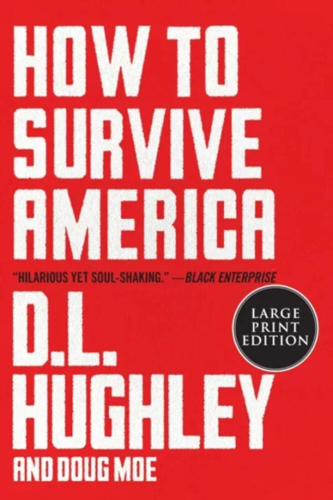 Omslag: How to Survive America