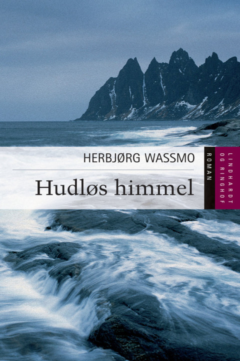 Omslag: Hudløs himmel