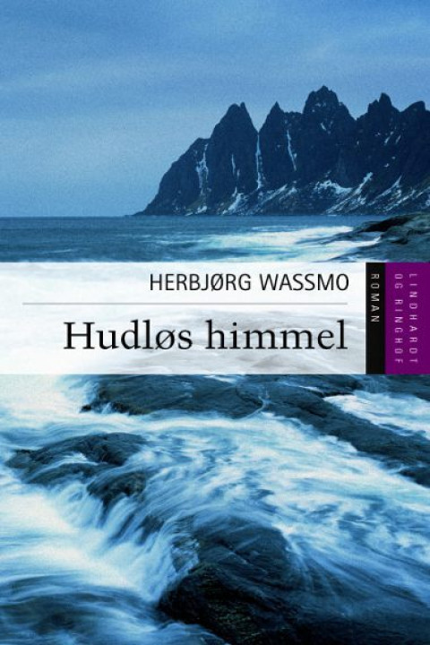 Omslag: Hudløs himmel