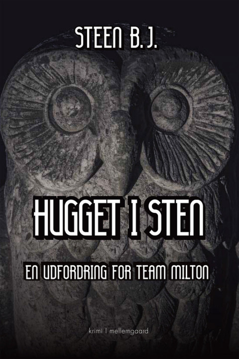 Omslag: Hugget i sten