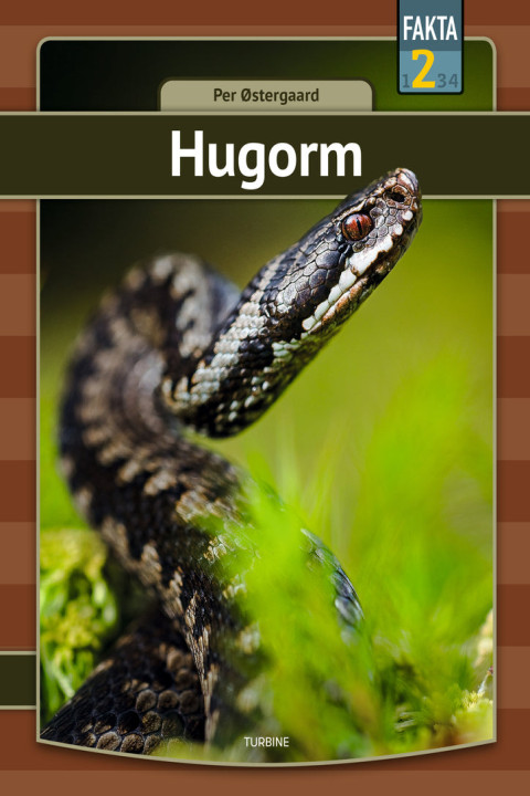 Omslag: Hugorm